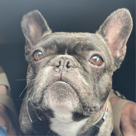 Meet your Posher, Trisha - Picture 1 of 1